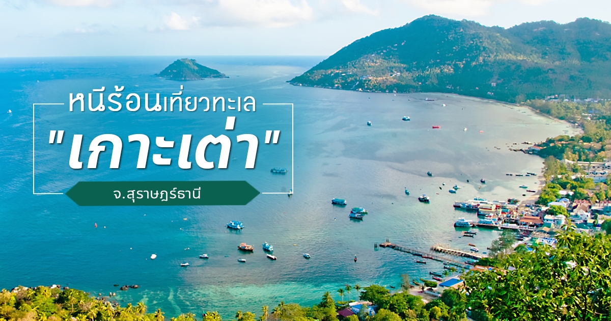 รวมที่เที่ยวในเมือง เกาะเต่า (จังหวัดสุราษฎร์ธานี) ที่เที่ยวเปิดใหม่ กิน เที่ยว ถ่ายรูป สนุกสุดฟิน