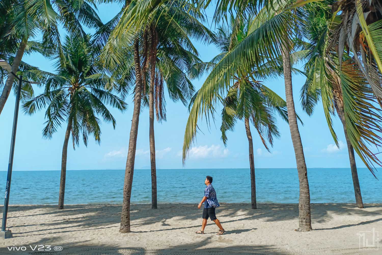 ที่เที่ยวหน้าร้อน หาดบางแสน (จังหวัดชลบุรี) 2567 ชิวกับธรรมชาติ ใช้ชีวิตแบบเนิบๆ