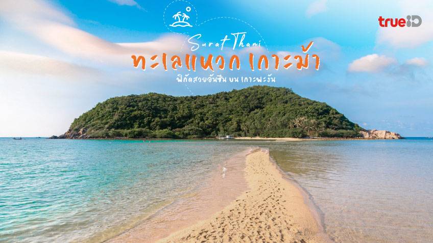 8 พิกัด สุดชิลในเมืองเ เกาะพะงัน (จังหวัดสุราษฎร์ธานี) เมืองสวย ทะเลงาม เที่ยวได้ตลอดปี ไม่มีเบื่อ