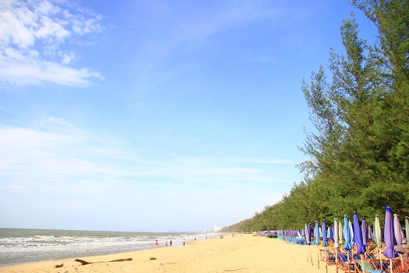 มัดรวม 6 ที่เที่ยว จุดเช็คอิน หาดชะอำ (จังหวัดเพชรบุรี) 2567 ในไทย อเล่นมันส์ทั้งวันไม่มีเบื่อ