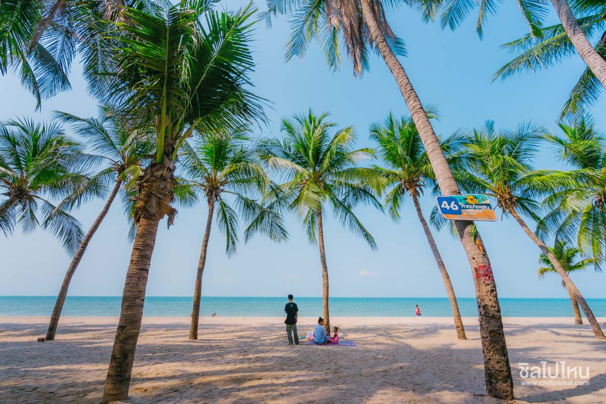 แจกพิกัด 9 โลเด็ด ถ่ายรูปปังในเ หาดบางแสน (จังหวัดชลบุรี) 2567 จุดเช็กอินครบ น้ำตก ทะเล ภูเขา เที่ยวได้ตลอดปี