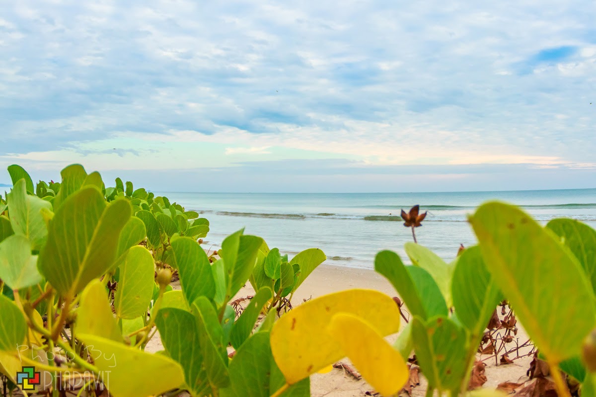 รวม 10 พิกัด ที่เที่ยวในตัวเมืองเ หาดแม่รำพึง (จังหวัดระยอง) 2567 ในไทย อเล่นมันส์ทั้งวันไม่มีเบื่อ