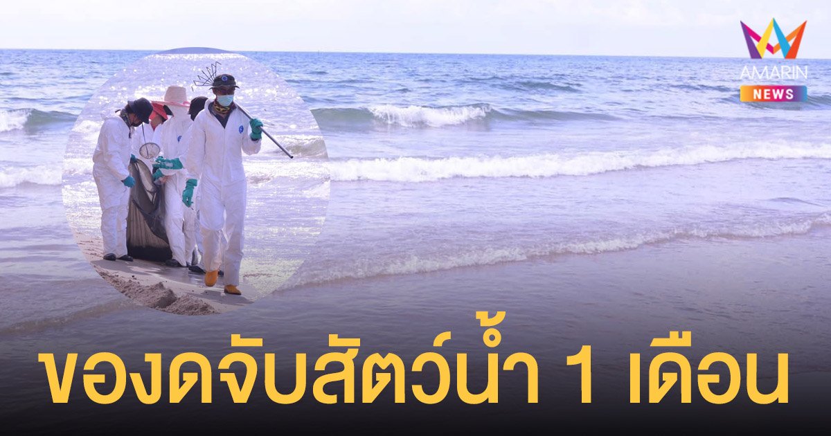 ที่เที่ยวหน้าร้อน หาดแม่รำพึง (จังหวัดระยอง) 2567 เที่ยวชิล ชมวิวสวย โอบกอดทะเลภูเขา