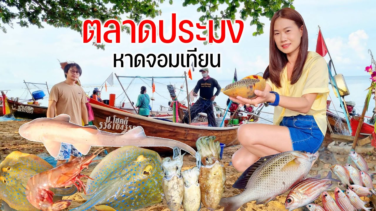 รวม 10 พิกัด ที่เที่ยวในตัวเมืองเ หาดจอมเทียน (จังหวัดพัทยา) 2567 มันส์สนุกครบรส อัปเดตใหม่ล่าสุด